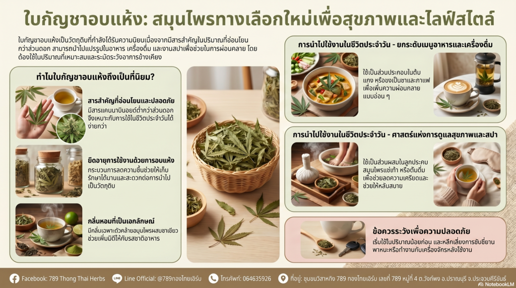 ใบชาอบแห้ง ใช้อย่างไรได้บ้าง ใบชาอบแห้ง ใช้อย่างไรได้บ้าง